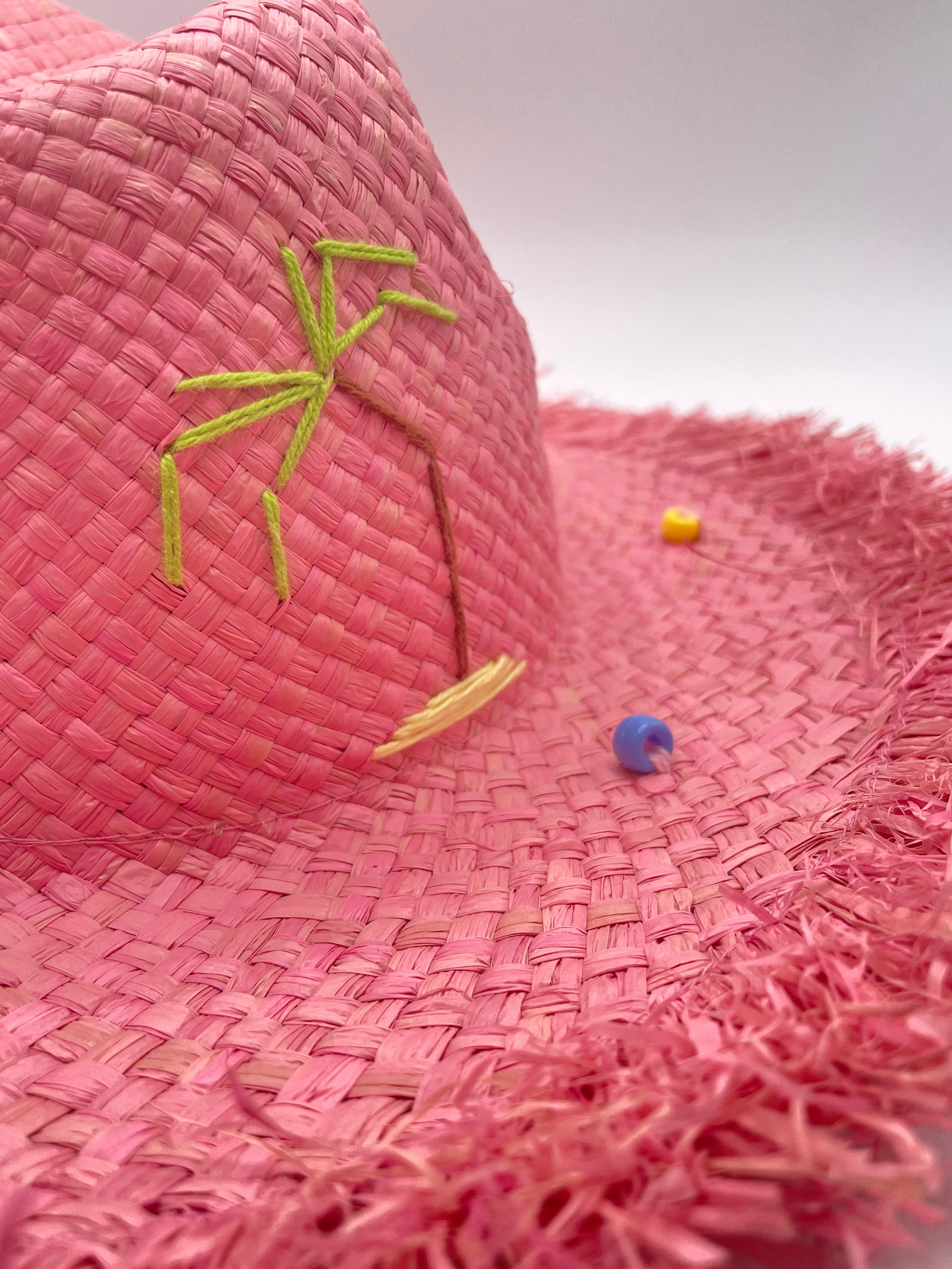 Cappello The Hat Gang Madagascar sfrangiato